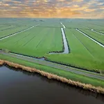 View Beets