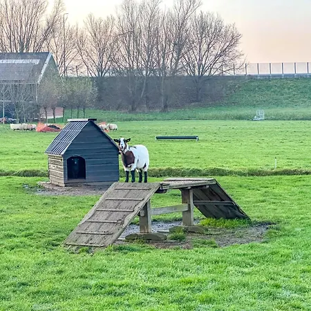 View 度假居 Beets