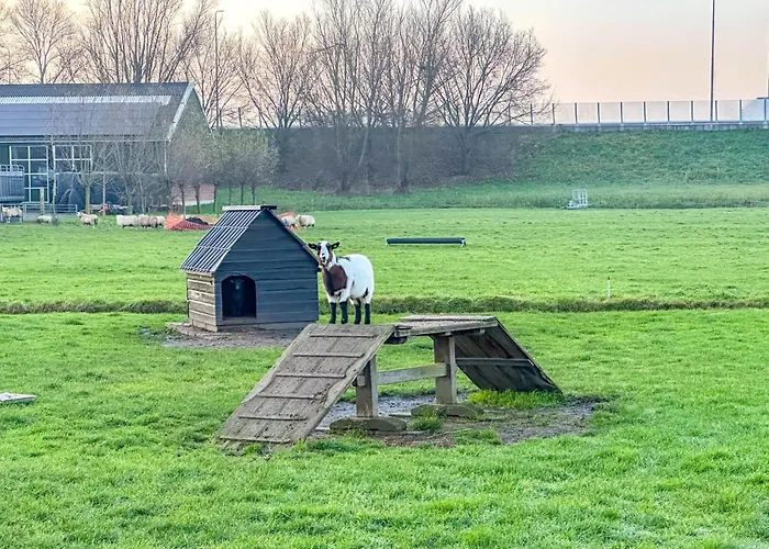 View Сasa de vacaciones Beets