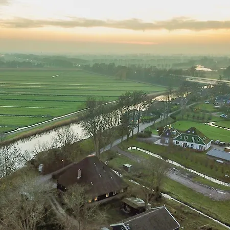 View Beets